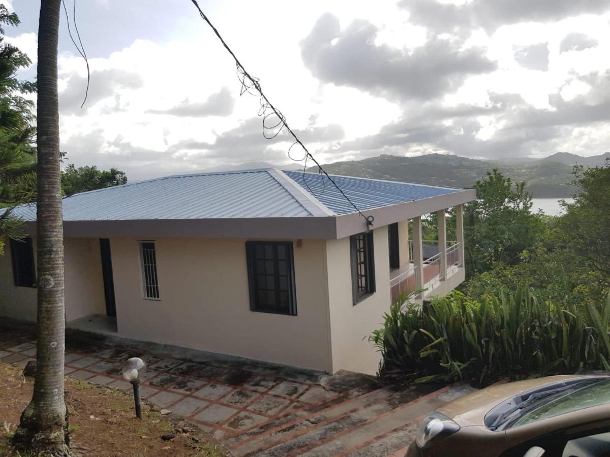 Top Hill Hostel- Martinique- Auberge Dortoir La Trinite Bagian luar foto
